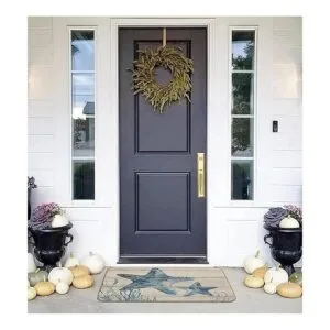 Felpudo con temática de estrella de mar para entrada_3