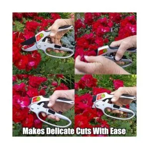 Podadoras tijeras de podar de trinquete herramienta de_5