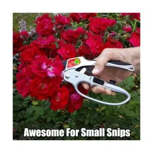 Podadoras tijeras de podar de trinquete herramienta de_4