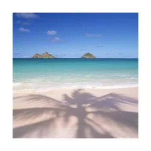 3dRose LSP 89735 2_3