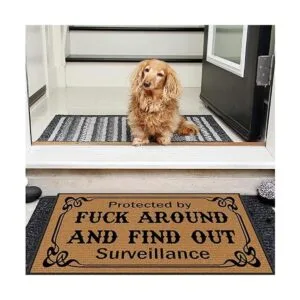 BinHang Tapetes de interior para entrada del hogar_2