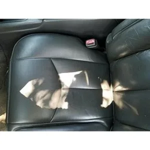 ECOTRIC Funda de asiento inferior de cuero para buzo gris_2