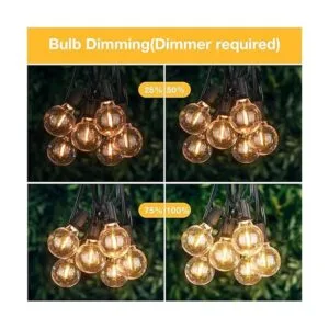 Cadena de luces para exteriores de 60 pies 30 bombillas_3