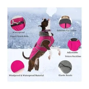 Dogcheer Abrigo para perro chaqueta de invierno para_5