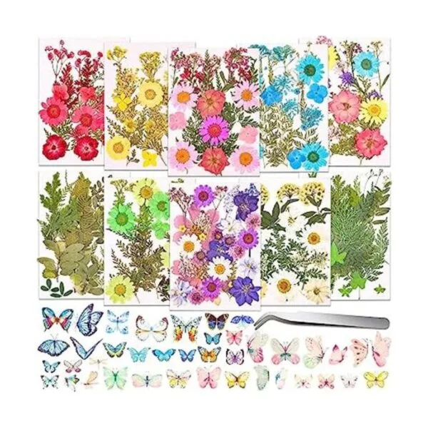 297 calcomanías de mariposa prensadas secas para resina_1