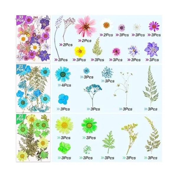297 calcomanías de mariposa prensadas secas para resina_4