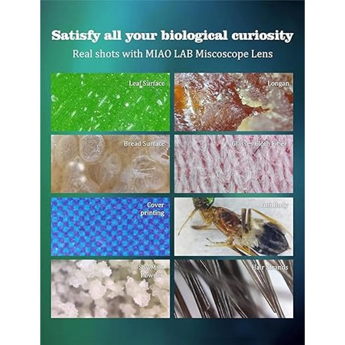 Microscopio de teléfono con lente CPLluz LED microscopio_6