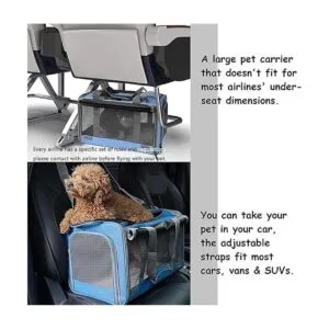 GAPZER Transportador de mascotas para gatos grandes y_5