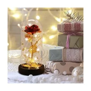 Rosa de la Bella y la Bestia regalos para ella regalo de_3