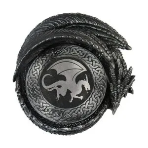 DWK Juego de 4 posavasos absorbentes de dragón con_4