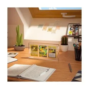 Wildnut Estuche para exhibir tarjetas soportes_5