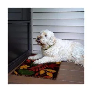 Ninamar Tapete para puerta de hojas de otoño coco_5