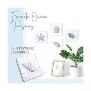 TideAndTales Juego de 4 conchas y decoraciones 3D_2