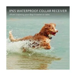 Fcolor Collar de entrenamiento para perros recargable e_6