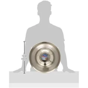 Indipets Platillo para cachorros de acero inoxidable_6