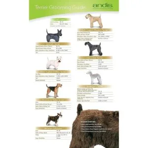 Andis UltraEdge Cuchilla desmontable_4