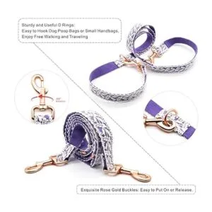 LEKAIGO Juego de collar y correa para perro encaje de_3