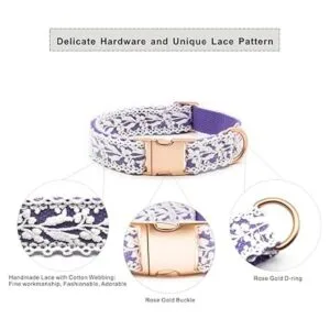 LEKAIGO Juego de collar y correa para perro encaje de_4