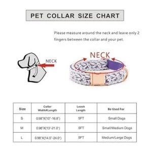 LEKAIGO Juego de collar y correa para perro encaje de_2