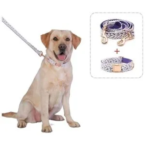 LEKAIGO Juego de collar y correa para perro encaje de_5