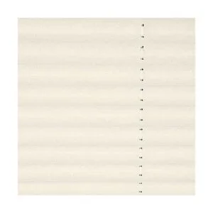 Calyx Interiors Pantalla plisada sin cordones para ventana_4