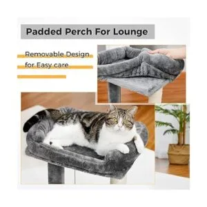 PAWZ Road Poste y almohadilla para rascar gatos con_2