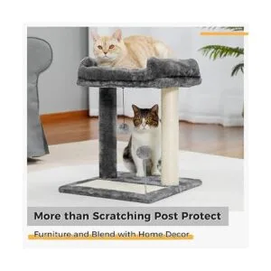 PAWZ Road Poste y almohadilla para rascar gatos con_6