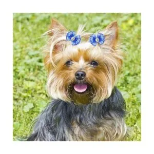 Reginary 300 lazos para perros lindos lazos para el pelo_5
