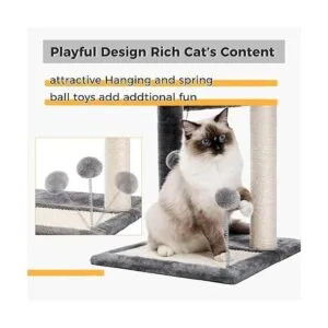 PAWZ Road Poste y almohadilla para rascar gatos con_4