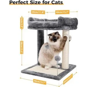 PAWZ Road Poste y almohadilla para rascar gatos con_5