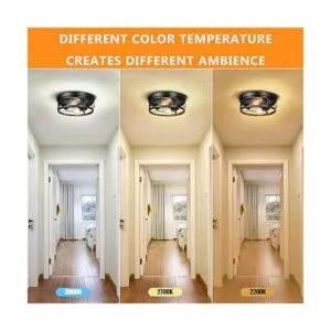 Feanron Lámpara de techo empotrada negra de 2 luces jaula_4