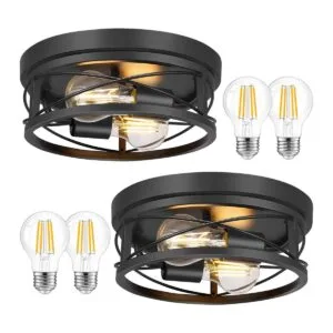 Feanron Lámpara de techo empotrada negra de 2 luces jaula_1