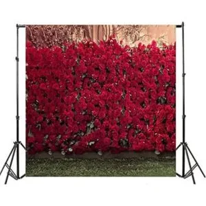 AOFOTO Fondo de fondo de rosas románticas de 10 x 10 pies_3