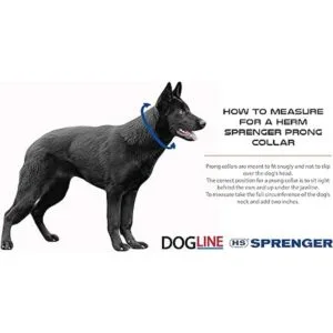 Herm Sprenger Collar de entrenamiento para perros ultra_3