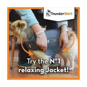 Thundershirt Classic Chaqueta anti ansiedad para perros_6