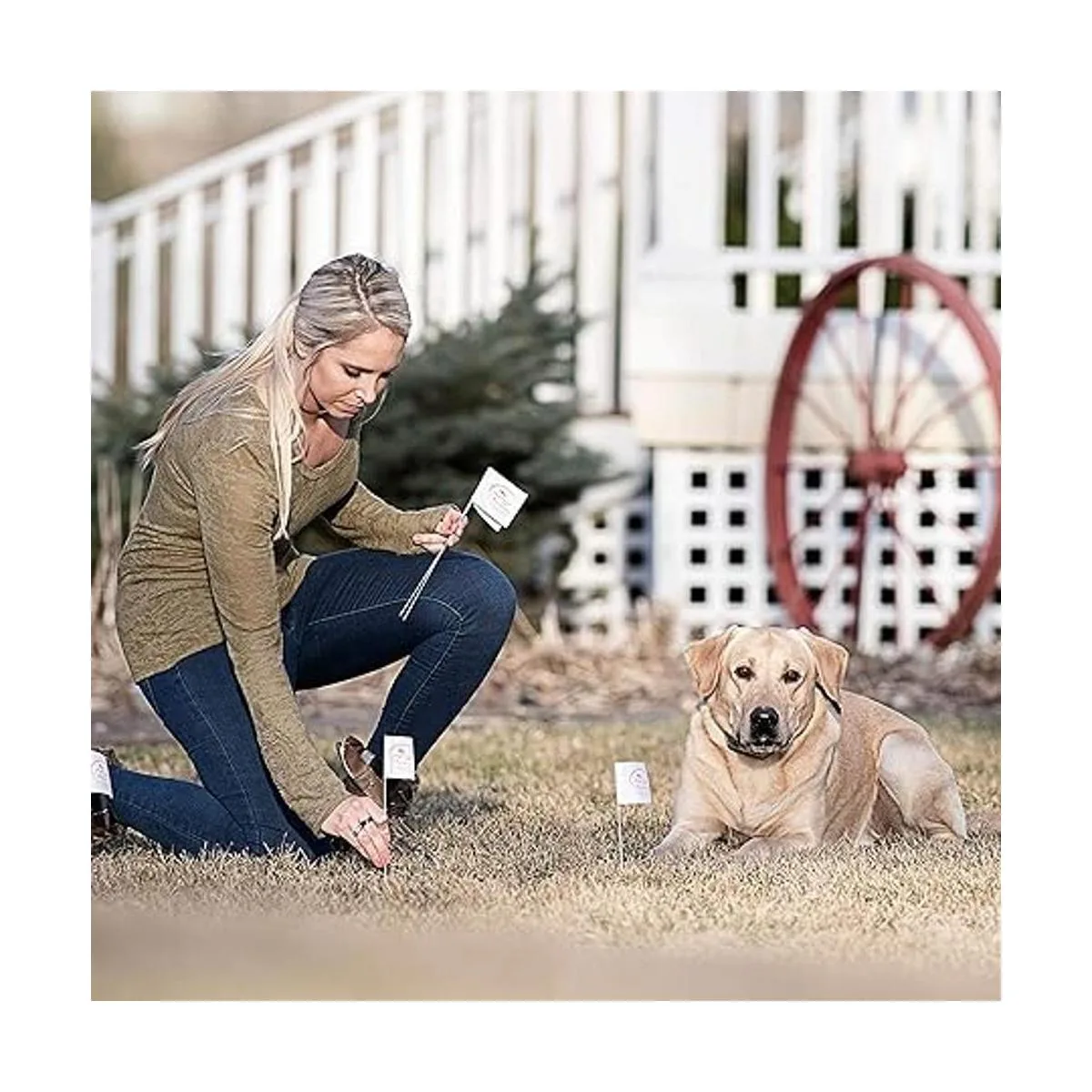 SportDOG Brand Kit de alambre y bandera para sistemas de_3