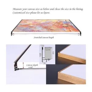 Emuledo Marco flotante de metal para lienzo estirado de 20_4