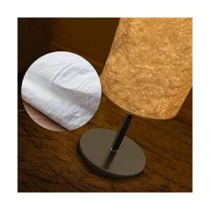 BLUEYE Lámpara de pie RGBCW 2700K6500K aplicación y_5