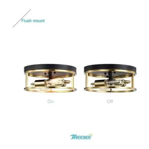 Treekee Lámparas de techo de 12 pulgadas redonda de_2