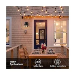 C Cattleya Outdoor Wall Sconce with Outlet GFCI Matte_3