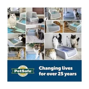 Bandeja reutilizable de aserrín para gatos ScoopFree con_6