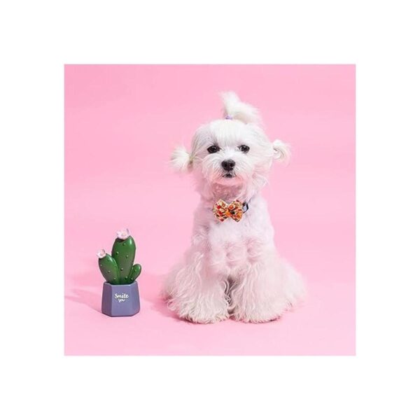 perros pequeños flores y lazos festivales_4
