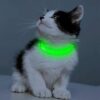 Candofly Collares LED para perros pequeños y gatos_2