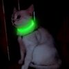 Candofly Collares LED para perros pequeños y gatos_6