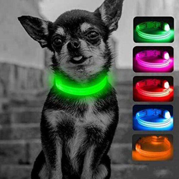 Candofly Collares LED para perros pequeños y gatos_1