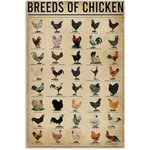Póster de razas de pollos para pared decoración del_1