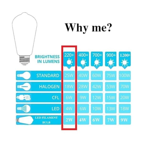 Paquete de 12 bombillas LED Edison de 2 W equivalentes._3