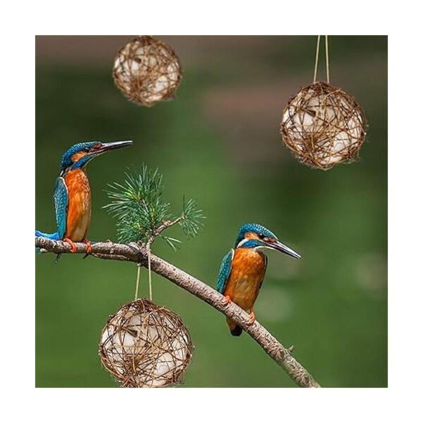 winemana Juego de 3 nideros de colibríes de globo lleno