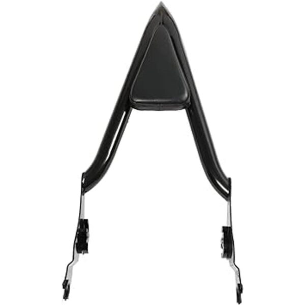 waltyotur 16 respaldo Sissy Bar desmontable con_2
