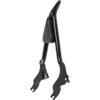 waltyotur 16 respaldo Sissy Bar desmontable con_1